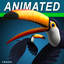 Toucan A  ( Flying )